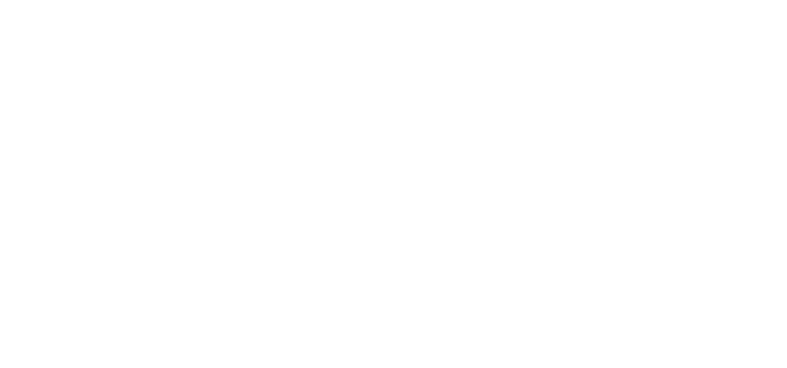 VPS Group